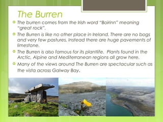 The Burren







The burren comes from the Irish word “Boirinn” meaning
“great rock”.
The Burren is like no other place in Ireland. There are no bogs
and very few pastures. Instead there are huge pavements of
limestone.
The Burren is also famous for its plantlife. Plants found in the
Arctic, Alpine and Mediterranean regions all grow here.
Many of the views around The Burren are spectacular such as
the vista across Galway Bay.

 