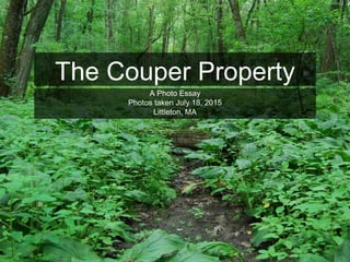 The Couper Property
A Photo Essay
Photos taken July 18, 2015
Littleton, MA
 