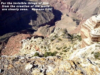 For the invisible things of Him from the creation of the world are clearly seen.  Romans 1:20 