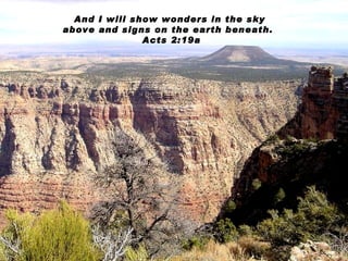 And I will show wonders in the sky above and signs on the earth beneath.  Acts 2:19a 