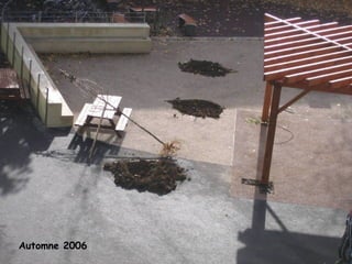 Automne 2006 