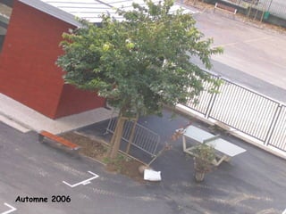 Automne 2006 