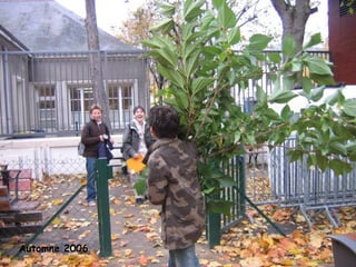 Automne 2006 