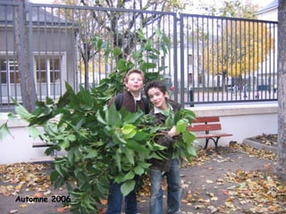 Automne 2006 