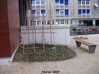 Février 2007 