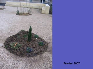 Février 2007 