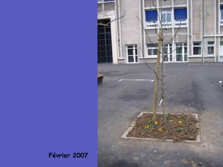 Février 2007 