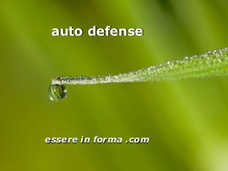 Page 1
auto defenseauto defense
essere in forma .comessere in forma .com
 