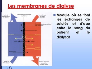 Les membranes de dialyse
Module où se font
les échanges de
solutés et d’eau
entre le sang du
patient et le
dialysat
 