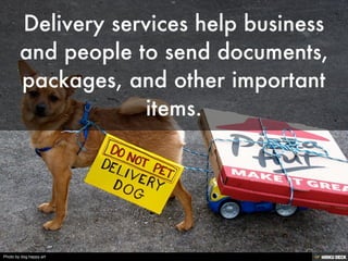 Photo by dog.happy.art
 