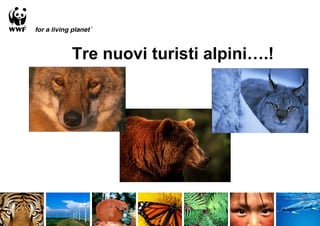 Tre nuovi turisti alpini….!
 
