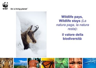 Wildlife pays,
  Wildlife stays (La
natura paga, la natura
        resta):
   il valore della
    biodiversità
 