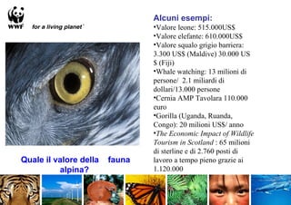 Alcuni esempi:
                                •Valore leone: 515.000US$
                                •Valore elefante: 610.000US$
                                •Valore squalo grigio barriera:
                                3.300 US$ (Maldive) 30.000 US
                                $ (Fiji)
                                •Whale watching: 13 milioni di
                                persone/ 2.1 miliardi di
                                dollari/13.000 persone
                                •Cernia AMP Tavolara 110.000
                                euro
                                •Gorilla (Uganda, Ruanda,
                                Congo): 20 milioni US$/ anno
                                •The Economic Impact of Wildlife
                                Tourism in Scotland : 65 milioni
                                di sterline e di 2.760 posti di
Quale il valore della   fauna   lavoro a tempo pieno grazie ai
          alpina?               1.120.000
                                •.
 