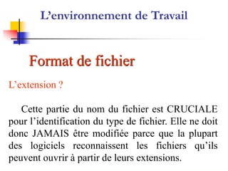 L’extension ?
Cette partie du nom du fichier est CRUCIALE
pour l’identification du type de fichier. Elle ne doit
donc JAMAIS être modifiée parce que la plupart
des logiciels reconnaissent les fichiers qu’ils
peuvent ouvrir à partir de leurs extensions.
Format de fichier
L’environnement de Travail
 