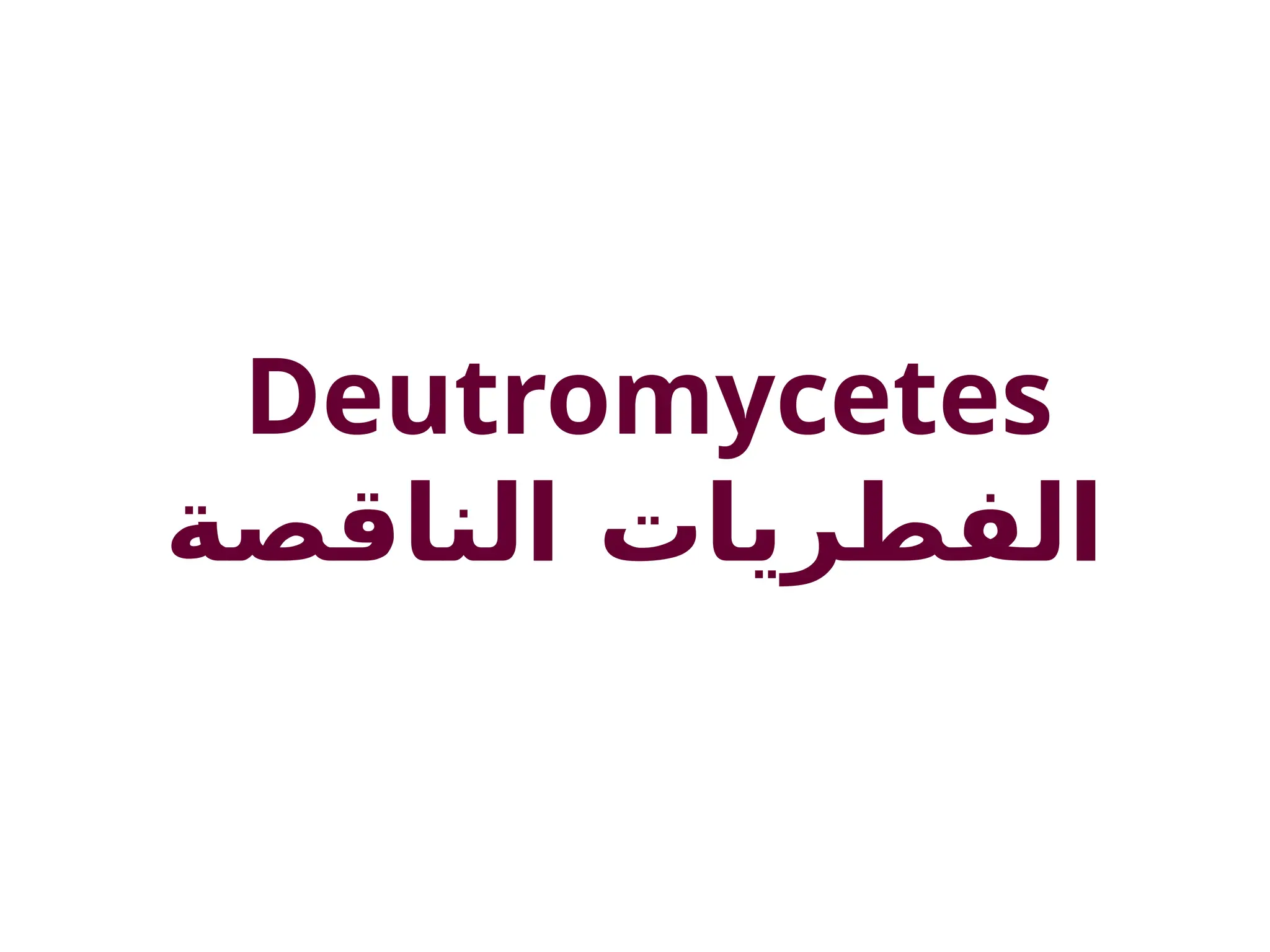 Deutromycetes
‫الناقصة‬ ‫الفطريات‬
 