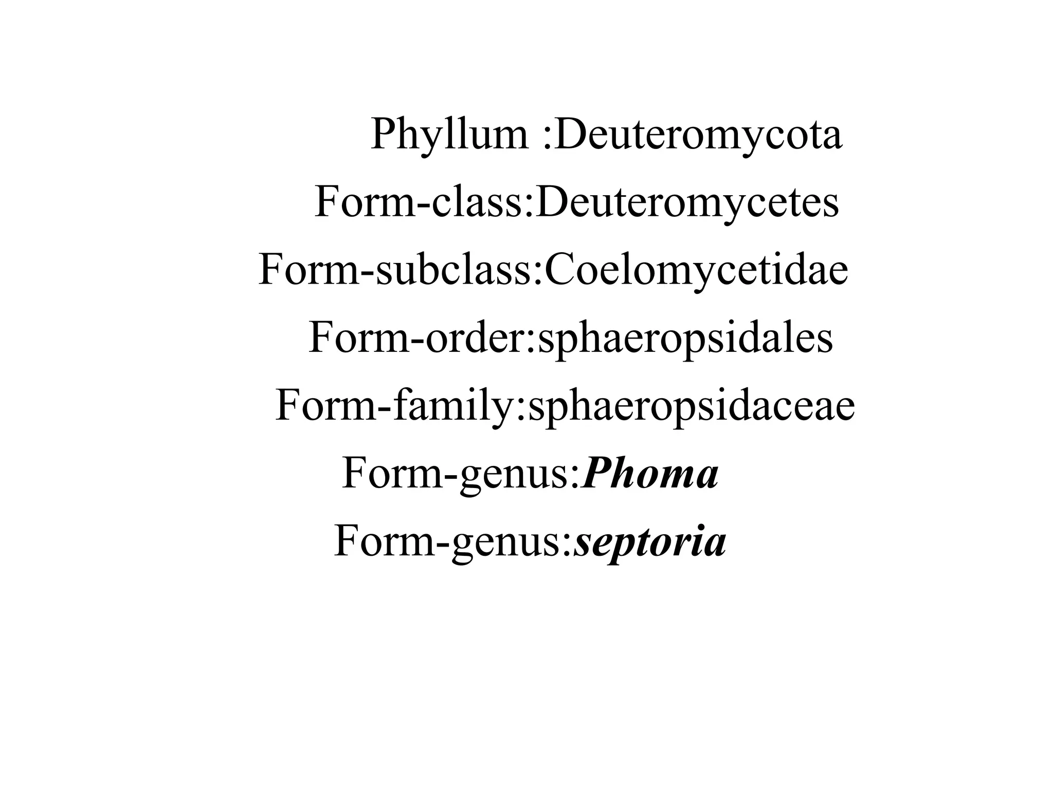 Phyllum :Deuteromycota
Form-class:Deuteromycetes
Form-subclass:Coelomycetidae
Form-order:sphaeropsidales
Form-family:sphaeropsidaceae
Form-genus:Phoma
Form-genus:septoria
 