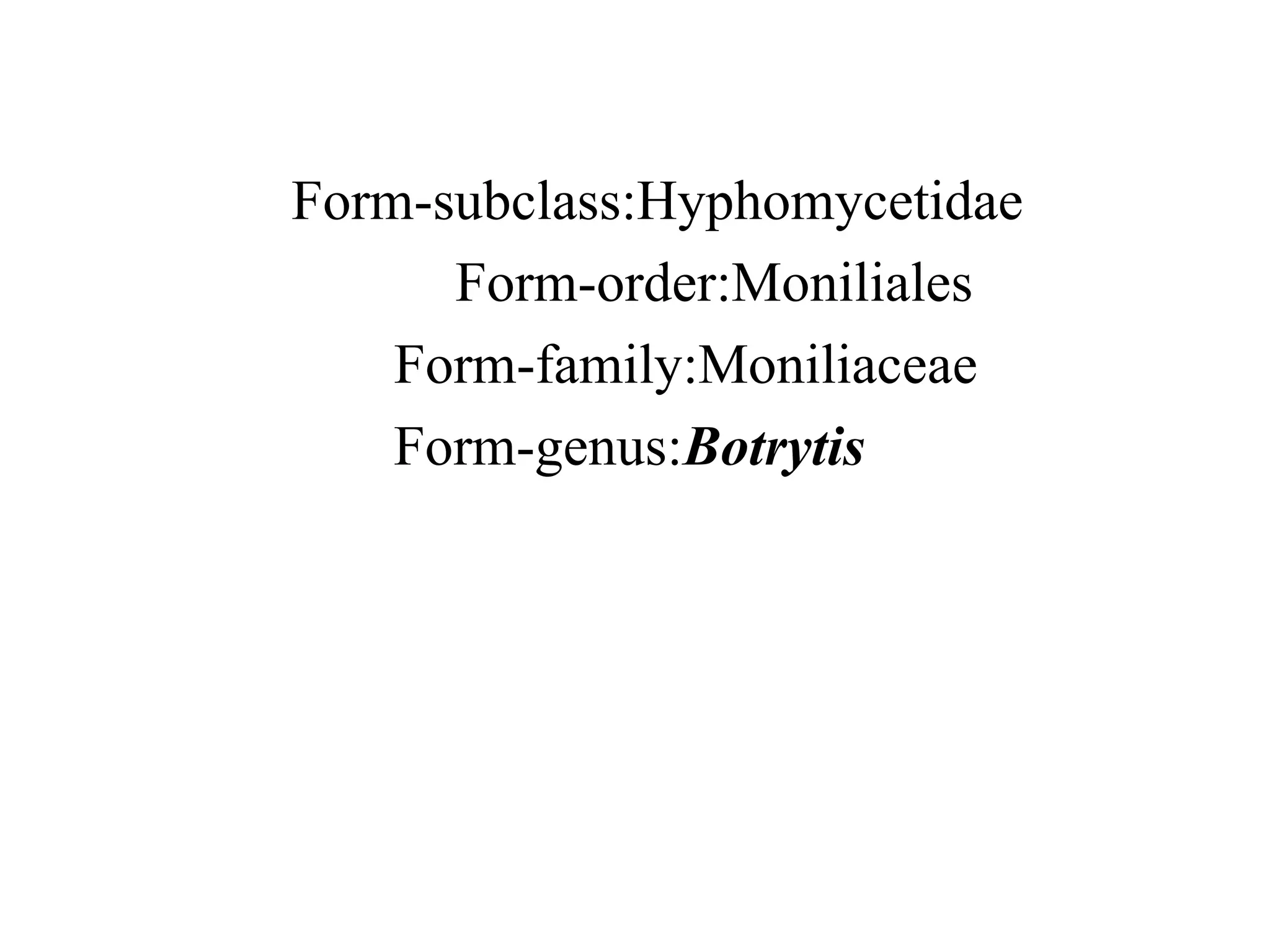 Form-subclass:Hyphomycetidae
Form-order:Moniliales
Form-family:Moniliaceae
Form-genus:Botrytis
 