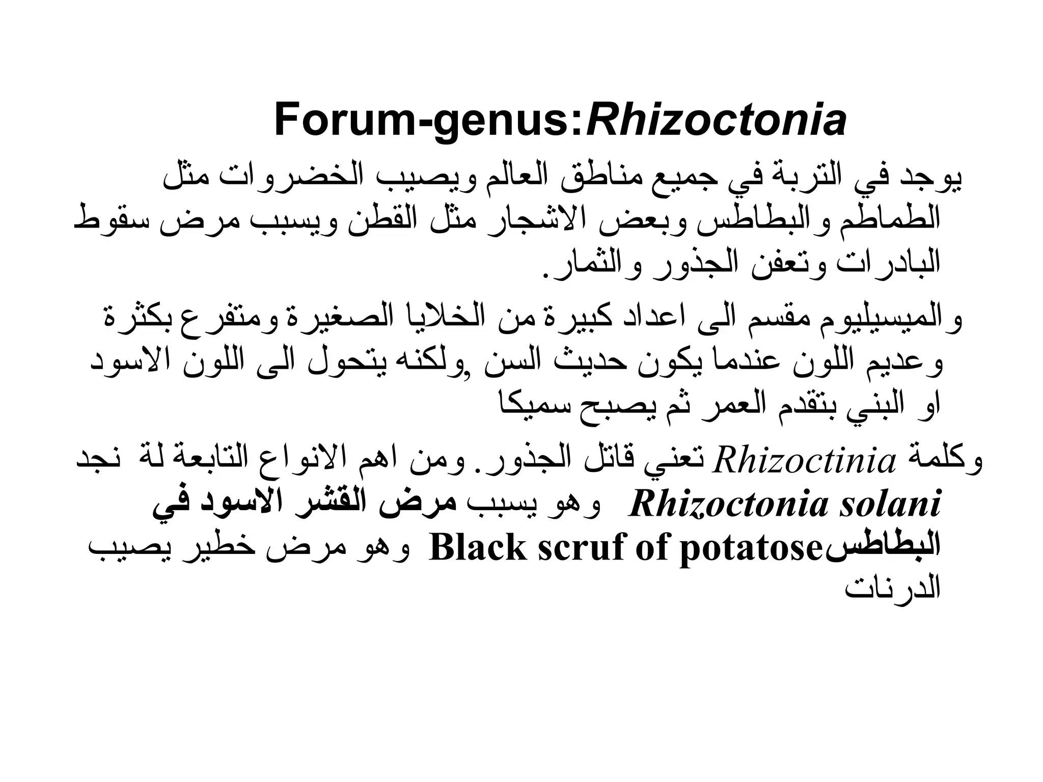 Forum-genus:Rhizoctonia
‫مثل‬ ‫الخضروات‬ ‫ويصيب‬ ‫العالم‬ ‫مناطق‬ ‫جميع‬ ‫في‬ ‫التربة‬ ‫في‬ ‫يوجد‬
‫سقوط‬ ‫مرض‬ ‫ويسبب‬ ‫القطن‬ ‫مثل‬ ‫االشجار‬ ‫وبعض‬ ‫والبطاطس‬ ‫الطماطم‬
.‫والثمار‬ ‫الجذور‬ ‫وتعفن‬ ‫البادرات‬
‫و‬
‫ال‬
‫بكثرة‬ ‫ومتفرع‬ ‫الصغيرة‬ ‫الخاليا‬ ‫من‬ ‫كبيرة‬ ‫اعداد‬ ‫الى‬ ‫مقسم‬ ‫ميسيليوم‬
‫ح‬ ‫يكون‬ ‫عندما‬ ‫اللون‬ ‫وعديم‬
‫د‬
‫ولكن‬, ‫السن‬ ‫يث‬
‫ه‬
‫االسود‬ ‫اللون‬ ‫الى‬ ‫يتحول‬
‫سميكا‬ ‫يصبح‬ ‫ثم‬ ‫العمر‬ ‫بتقدم‬ ‫البني‬ ‫او‬
‫وكلمة‬
Rhizoctinia
‫نجد‬ ‫لة‬ ‫التابعة‬ ‫االنواع‬ ‫اهم‬ ‫ومن‬ .‫الجذور‬ ‫قاتل‬ ‫تعني‬
Rhizoctonia solani
‫يسبب‬ ‫وهو‬
‫في‬ ‫االسود‬ ‫القشر‬ ‫مرض‬
‫البطاطس‬
Black scruf of potatose
‫يصيب‬ ‫خطير‬ ‫مرض‬ ‫وهو‬
‫الدرنات‬
 