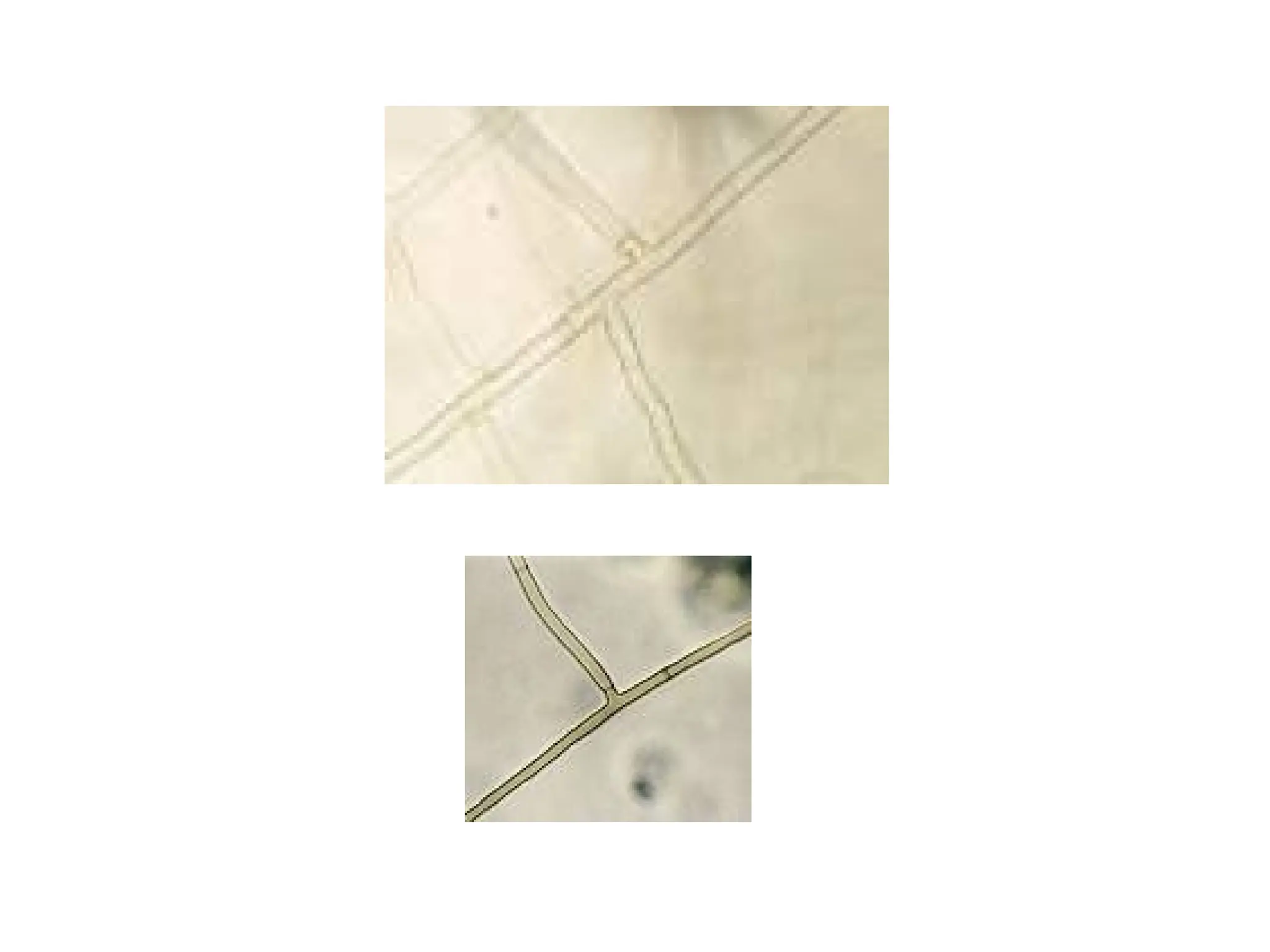 cours.......................................................ppt