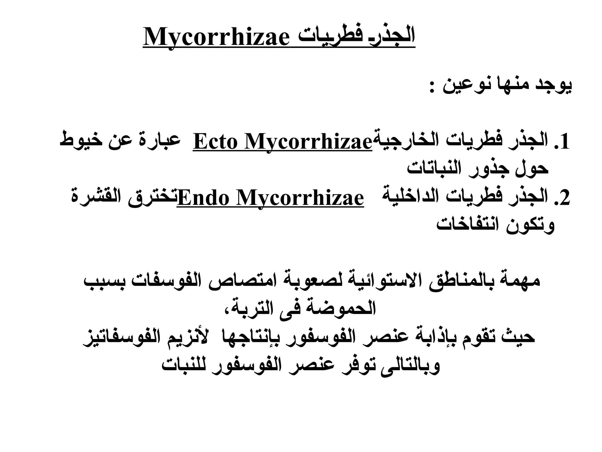 ‫[يات‬‫ر‬‫فط‬ [‫ر‬‫الجذ‬
Mycorrhizae
: ‫نوعين‬ ‫منها‬ ‫يوجد‬
.1
‫الخارجية‬ ‫فطريات‬ ‫الجذر‬
Ecto Mycorrhizae
‫خيوط‬ ‫عن‬ ‫عبارة‬
‫النباتات‬ ‫جذور‬ ‫حول‬
.2
‫الداخلية‬ ‫فطريات‬ ‫الجذر‬
Endo Mycorrhizae
‫القشرة‬ ‫تخترق‬
‫انتفاخات‬ ‫وتكون‬
‫بسبب‬ ‫الفوسفات‬ ‫امتصاص‬ ‫لصعوبة‬ ‫االستوائية‬ ‫بالمناطق‬ ‫مهمة‬
‫التربة‬ ‫فى‬ ‫الحموضة‬
،
‫الفوسفاتيز‬ ‫ألنزيم‬ ‫بإنتاجها‬ ‫الفوسفور‬ ‫عنصر‬ ‫بإذابة‬ ‫تقوم‬ ‫حيث‬
‫للنبات‬ ‫الفوسفور‬ ‫عنصر‬ ‫توفر‬ ‫وبالتالى‬
 