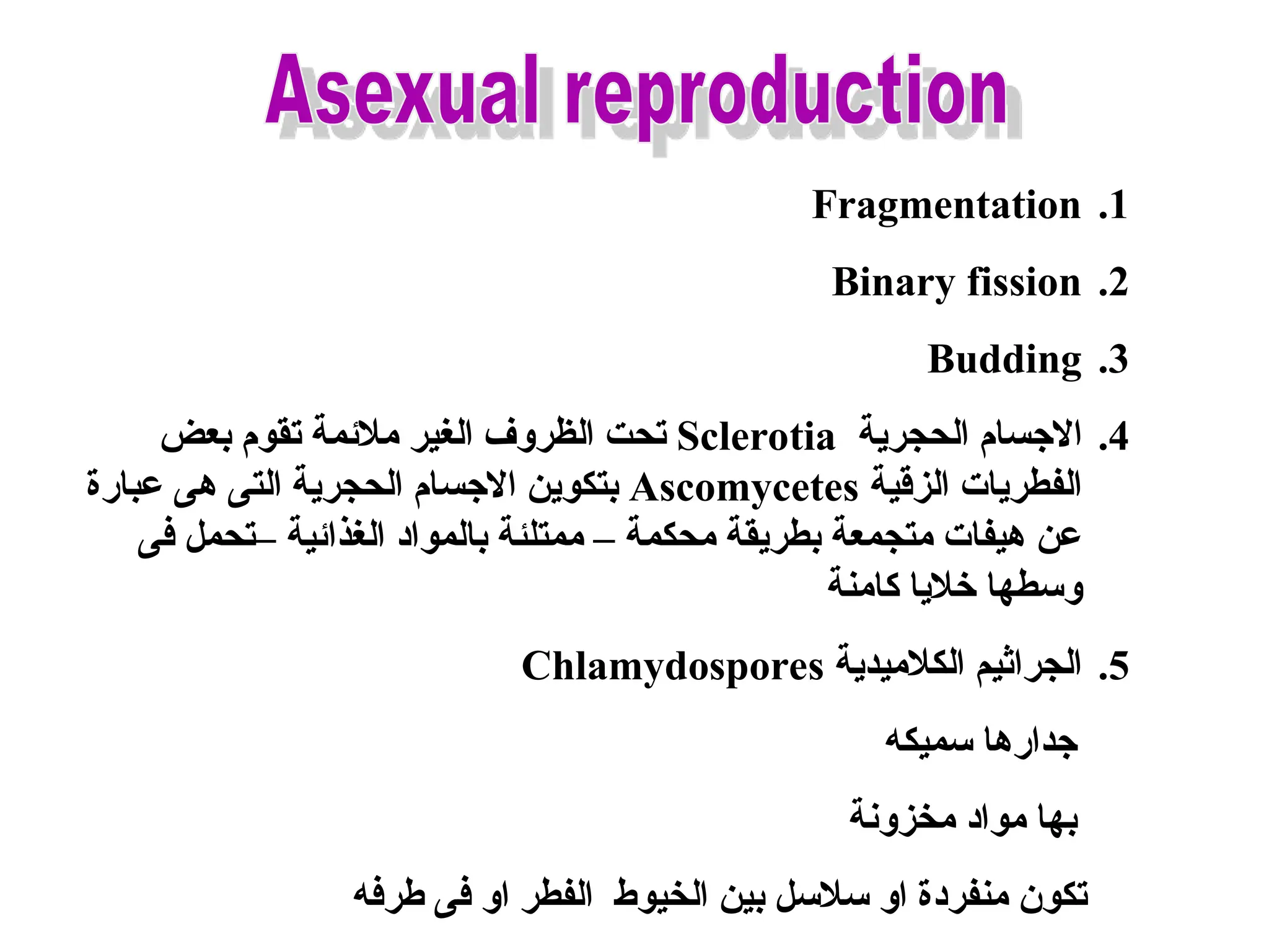 .1
Fragmentation
.2
Binary fission
.3
Budding
.4
‫الحجرية‬ ‫االجسام‬
Sclerotia
‫بعض‬ ‫تقوم‬ ‫مالئمة‬ ‫الغير‬ ‫الظروف‬ ‫تحت‬
‫الزقية‬ ‫الفطريات‬
Ascomycetes
‫عبارة‬ ‫هى‬ ‫التى‬ ‫الحجرية‬ ‫االجسام‬ ‫بتكوين‬
‫فى‬ ‫–تحمل‬ ‫الغذائية‬ ‫بالمواد‬ ‫ممتلئة‬ – ‫محكمة‬ ‫بطريقة‬ ‫متجمعة‬ ‫هيفات‬ ‫عن‬
‫كامنة‬ ‫خاليا‬ ‫وسطها‬
.5
‫الكالميدية‬ ‫الجراثيم‬
Chlamydospores
‫سميكه‬ ‫جدارها‬
‫مخزونة‬ ‫مواد‬ ‫بها‬
‫طرفه‬ ‫فى‬ ‫او‬ ‫الفطر‬ ‫الخيوط‬ ‫بين‬ ‫سالسل‬ ‫او‬ ‫منفردة‬ ‫تكون‬
 