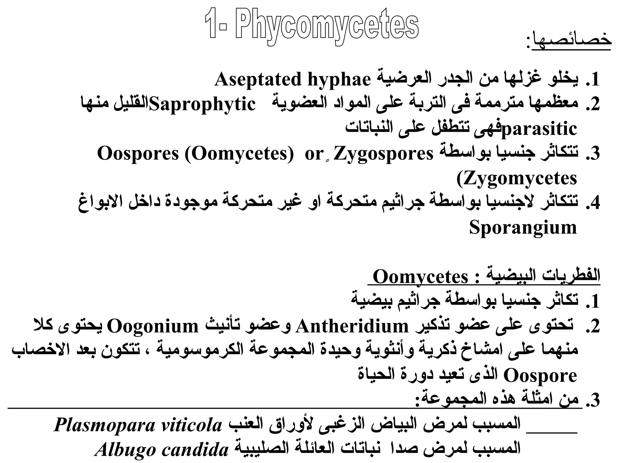 .1
‫العرضية‬ ‫الجدر‬ ‫من‬ ‫غزلها‬ ‫يخلو‬
Aseptated hyphae
.2
‫العضوية‬ ‫المواد‬ ‫على‬ ‫التربة‬ ‫فى‬ ‫مترممة‬ ‫معظمها‬
Saprophytic
‫منها‬ ‫القليل‬
parasitic
‫النباتات‬ ‫على‬ ‫تتطفل‬ ‫فهى‬
.3
‫بواسطة‬ ‫جنسيا‬ ‫تتكاثر‬
Oospores (Oomycetes) orٍ Zygospores
(Zygomycetes
.4
‫االبواغ‬ ‫داخل‬ ‫موجودة‬ ‫متحركة‬ ‫غير‬ ‫او‬ ‫متحركة‬ ‫جراثيم‬ ‫بواسطة‬ ‫الجنسيا‬ ‫تتكاثر‬
Sporangium
‫البيضية‬ ‫الفطريات‬
:
Oomycetes
.1
‫بيضية‬ ‫جراثيم‬ ‫بواسطة‬ ‫جنسيا‬ ‫تكاثر‬
.2
‫تذكير‬ ‫عضو‬ ‫على‬ ‫تحتوى‬
Antheridium
‫تأنيث‬ ‫وعضو‬
Oogonium
‫كال‬ ‫يحتوى‬
‫االخصاب‬ ‫بعد‬ ‫تتكون‬ ، ‫الكرموسومية‬ ‫المجموعة‬ ‫وحيدة‬ ‫وأنثوية‬ ‫ذكرية‬ ‫امشاخ‬ ‫على‬ ‫منهما‬
Oospore
‫الحياة‬ ‫دورة‬ ‫تعيد‬ ‫الذى‬
.3
:‫المجموعة‬ ‫هذه‬ ‫امثلة‬ ‫من‬
‫العنب‬ ‫ألوراق‬ ‫الزغبى‬ ‫البياض‬ ‫لمرض‬ ‫المسبب‬
Plasmopara viticola
‫الصليبية‬ ‫العائلة‬ ‫نباتات‬ ‫صدا‬ ‫لمرض‬ ‫المسبب‬
Albugo candida
‫خصائصها‬
:
 