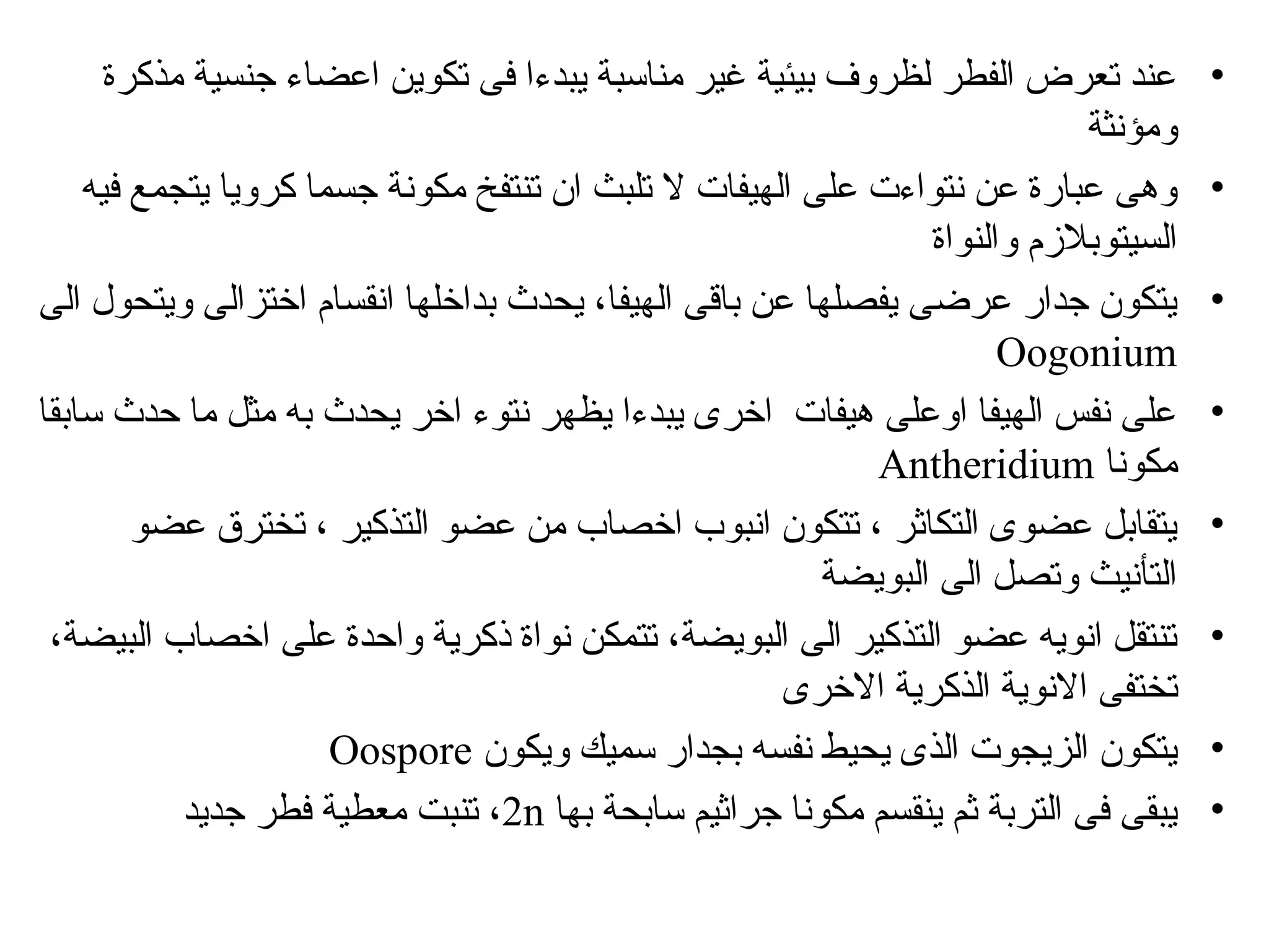 •
‫مذكرة‬ ‫جنسية‬ ‫اعضاء‬ ‫تكوين‬ ‫فى‬ ‫يبدءا‬ ‫مناسبة‬ ‫غير‬ ‫بيئية‬ ‫لظروف‬ ‫الفطر‬ ‫تعرض‬ ‫عند‬
‫ومؤنثة‬
•
‫فيه‬ ‫يتجمع‬ ‫كرويا‬ ‫جسما‬ ‫مكونة‬ ‫تنتفخ‬ ‫ان‬ ‫تلبث‬ ‫ال‬ ‫الهيفات‬ ‫على‬ ‫نتواءت‬ ‫عن‬ ‫عبارة‬ ‫وهى‬
‫والنواة‬ ‫السيتوبالزم‬
•
‫الى‬ ‫ويتحول‬ ‫اختزالى‬ ‫انقسام‬ ‫بداخلها‬ ‫يحدث‬ ،‫الهيفا‬ ‫باقى‬ ‫عن‬ ‫يفصلها‬ ‫عرضى‬ ‫جدار‬ ‫يتكون‬
Oogonium
•
‫سابقا‬ ‫حدث‬ ‫ما‬ ‫مثل‬ ‫به‬ ‫يحدث‬ ‫اخر‬ ‫نتوء‬ ‫يظهر‬ ‫يبدءا‬ ‫اخرى‬ ‫هيفات‬ ‫اوعلى‬ ‫الهيفا‬ ‫نفس‬ ‫على‬
‫مكونا‬
Antheridium
•
‫عضو‬ ‫تخترق‬ ، ‫التذكير‬ ‫عضو‬ ‫من‬ ‫اخصاب‬ ‫انبوب‬ ‫تتكون‬ ، ‫التكاثر‬ ‫عضوى‬ ‫يتقابل‬
‫البويضة‬ ‫الى‬ ‫وتصل‬ ‫التأنيث‬
•
،‫البيضة‬ ‫اخصاب‬ ‫على‬ ‫واحدة‬ ‫ذكرية‬ ‫نواة‬ ‫تتمكن‬ ،‫البويضة‬ ‫الى‬ ‫التذكير‬ ‫عضو‬ ‫انويه‬ ‫تنتقل‬
‫االخرى‬ ‫الذكرية‬ ‫االنوية‬ ‫تختفى‬
•
‫ويكون‬ ‫سميك‬ ‫بجدار‬ ‫نفسه‬ ‫يحيط‬ ‫الذى‬ ‫الزيجوت‬ ‫يتكون‬
Oospore
•
‫بها‬ ‫سابحة‬ ‫جراثيم‬ ‫مكونا‬ ‫ينقسم‬ ‫ثم‬ ‫التربة‬ ‫فى‬ ‫يبقى‬
2n
‫جديد‬ ‫فطر‬ ‫معطية‬ ‫تنبت‬ ،
 