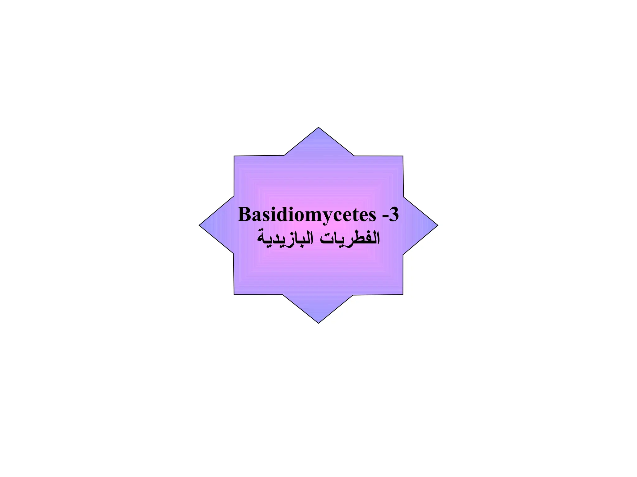 3
-
Basidiomycetes
‫البازيدية‬ ‫الفطريات‬
 