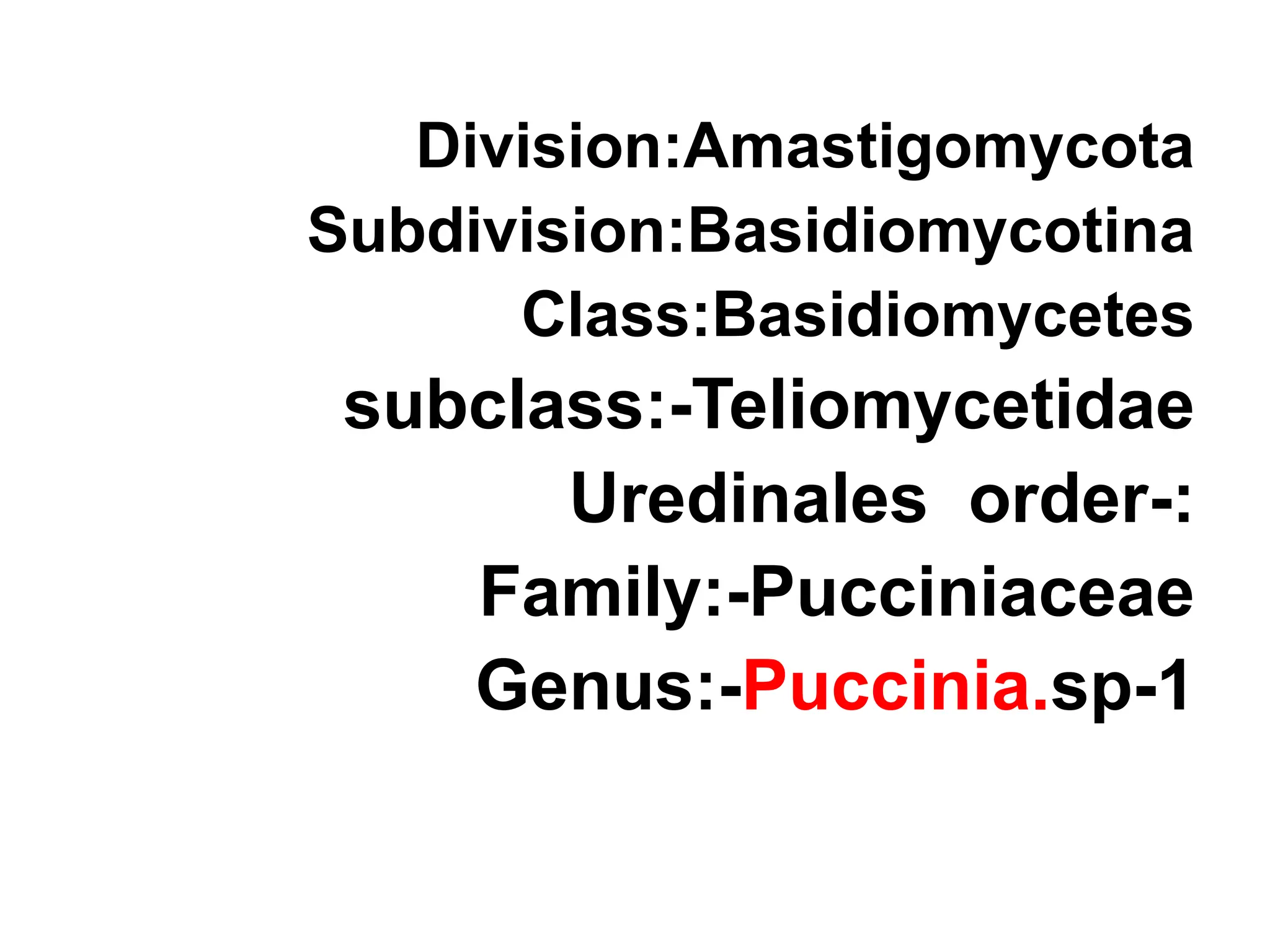 Division:Amastigomycota
Subdivision:Basidiomycotina
Class:Basidiomycetes
subclass:-Teliomycetidae
-:
Uredinales order
Family:-Pucciniaceae
1
-
Genus:-Puccinia.sp
 