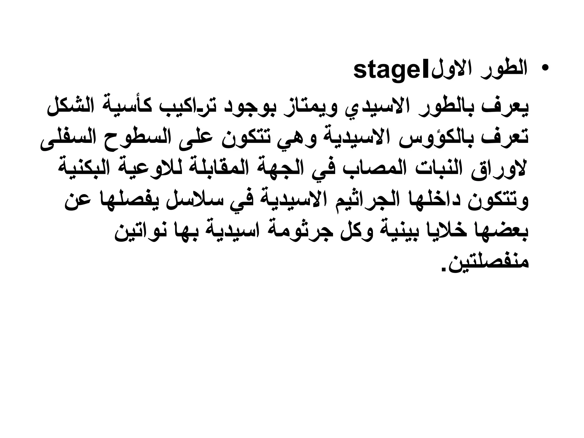 •
‫االول‬ ‫الطور‬
stageⅠ
‫الشكل‬ ‫كأسية‬ ‫اكيب‬n‫ر‬‫ت‬ ‫بوجود‬ ‫ويمتاز‬ ‫االسيدي‬ ‫بالطور‬ ‫يعرف‬
‫السفلى‬ ‫السطوح‬ ‫على‬ ‫تتكون‬ ‫وهي‬ ‫االسيدية‬ ‫بالكؤوس‬ ‫تعرف‬
‫البكنية‬ ‫لالوعية‬ ‫المقابلة‬ ‫الجهة‬ ‫في‬ ‫المصاب‬ ‫النبات‬ ‫الوراق‬
‫عن‬ ‫يفصلها‬ ‫سالسل‬ ‫في‬ ‫االسيدية‬ ‫الجراثيم‬ ‫داخلها‬ ‫وتتكون‬
‫نواتين‬ ‫بها‬ ‫اسيدية‬ ‫جرثومة‬ ‫وكل‬ ‫بينية‬ ‫خاليا‬ ‫بعضها‬
.‫منفصلتين‬
 