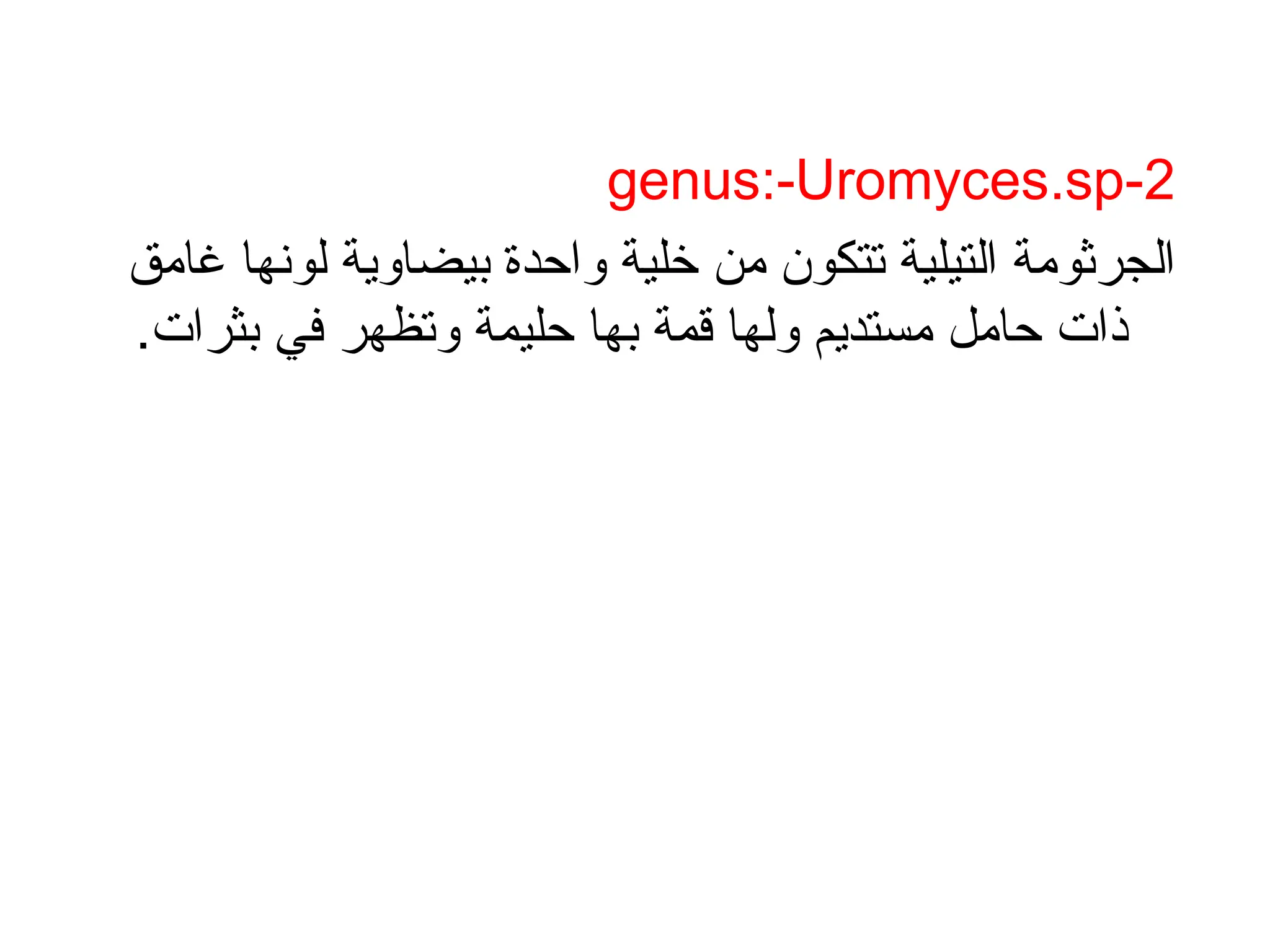 2
-
genus:-Uromyces.sp
‫غامق‬ ‫لونها‬ ‫بيضاوية‬ ‫واحدة‬ ‫خلية‬ ‫من‬ ‫تتكون‬ ‫التيلية‬ ‫الجرثومة‬
.‫بثرات‬ ‫في‬ ‫وتظهر‬ ‫حليمة‬ ‫بها‬ ‫قمة‬ ‫ولها‬ ‫مستديم‬ ‫حامل‬ ‫ذات‬
 