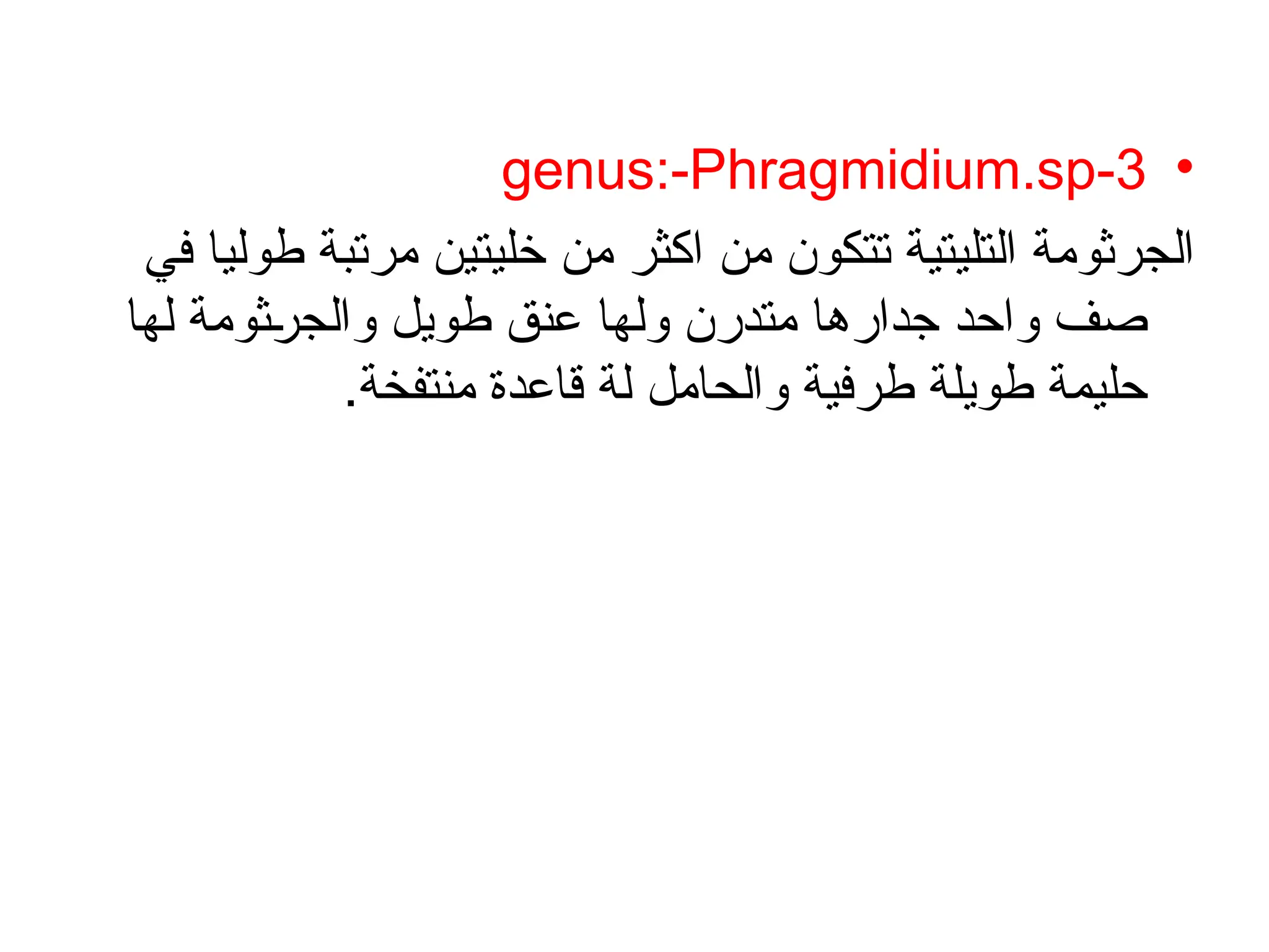 •
3
-
genus:-Phragmidium.sp
‫في‬ ‫طوليا‬ ‫مرتبة‬ ‫خليتين‬ ‫من‬ ‫اكثر‬ ‫من‬ ‫تتكون‬ ‫التليتية‬ ‫الجرثومة‬
‫لها‬ ‫ثومة‬/
‫ر‬‫والج‬ ‫طويل‬ ‫عنق‬ ‫ولها‬ ‫متدرن‬ ‫جدارها‬ ‫واحد‬ ‫صف‬
.‫منتفخة‬ ‫قاعدة‬ ‫لة‬ ‫والحامل‬ ‫طرفية‬ ‫طويلة‬ ‫حليمة‬
 