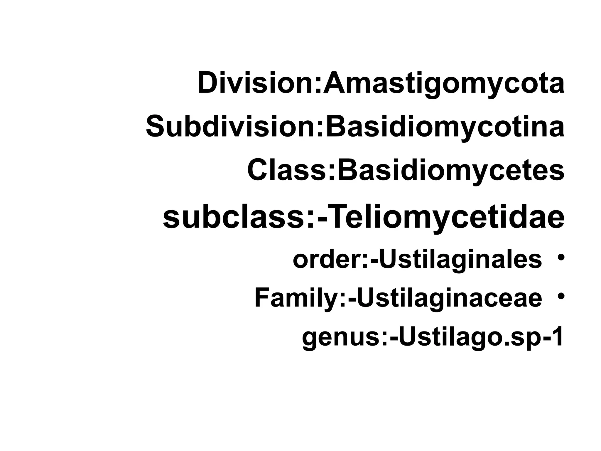 Division:Amastigomycota
Subdivision:Basidiomycotina
Class:Basidiomycetes
subclass:-Teliomycetidae
•
order:-Ustilaginales
•
Family:-Ustilaginaceae
1
-
genus:-Ustilago.sp
 