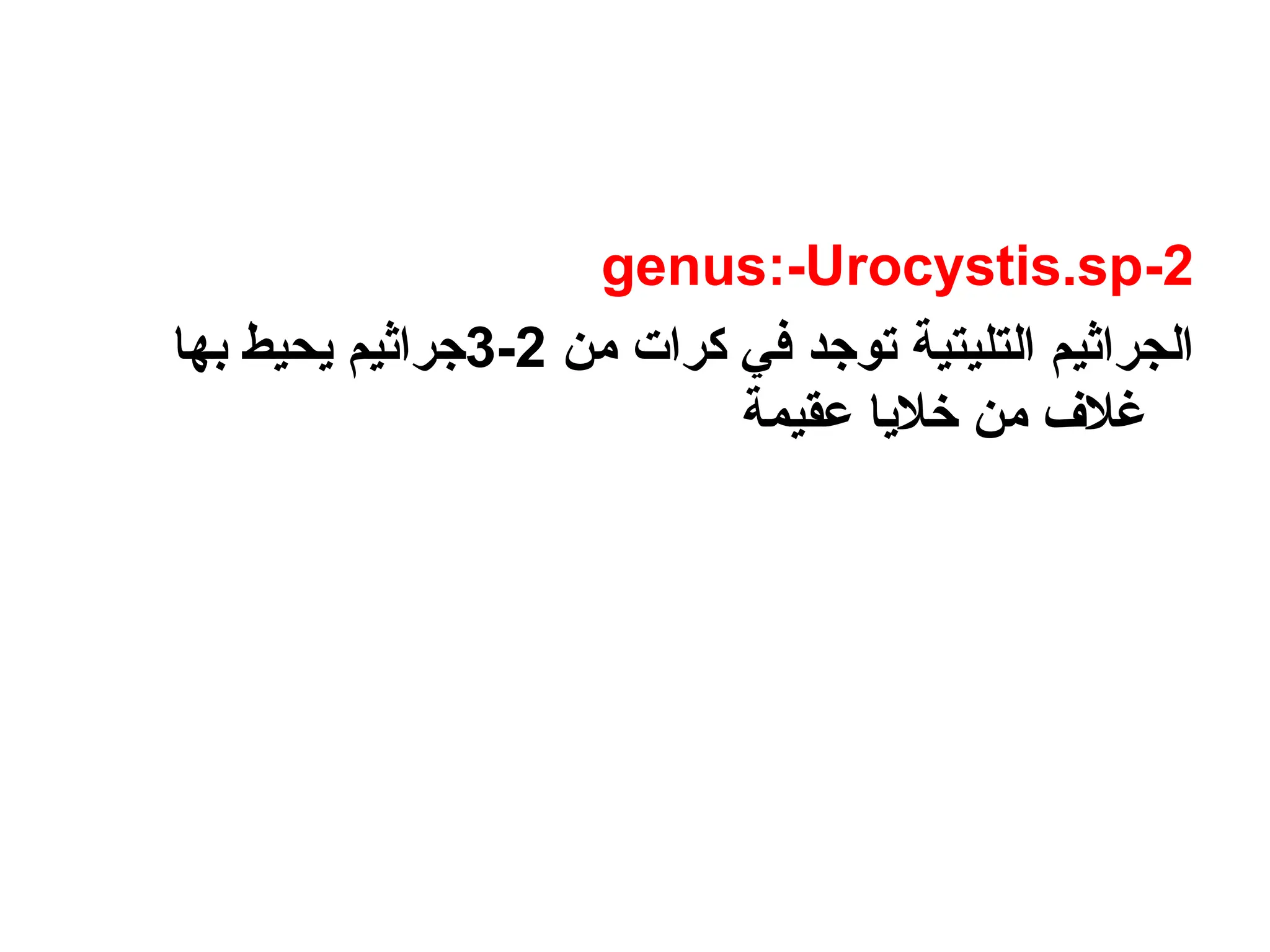 2
-
genus:-Urocystis.sp
‫من‬ ‫كرات‬ ‫في‬ ‫توجد‬ ‫التليتية‬ ‫الجراثيم‬
2
-
3
‫بها‬ ‫يحيط‬ ‫جراثيم‬
‫عقيمة‬ ‫خاليا‬ ‫من‬ ‫غالف‬
 