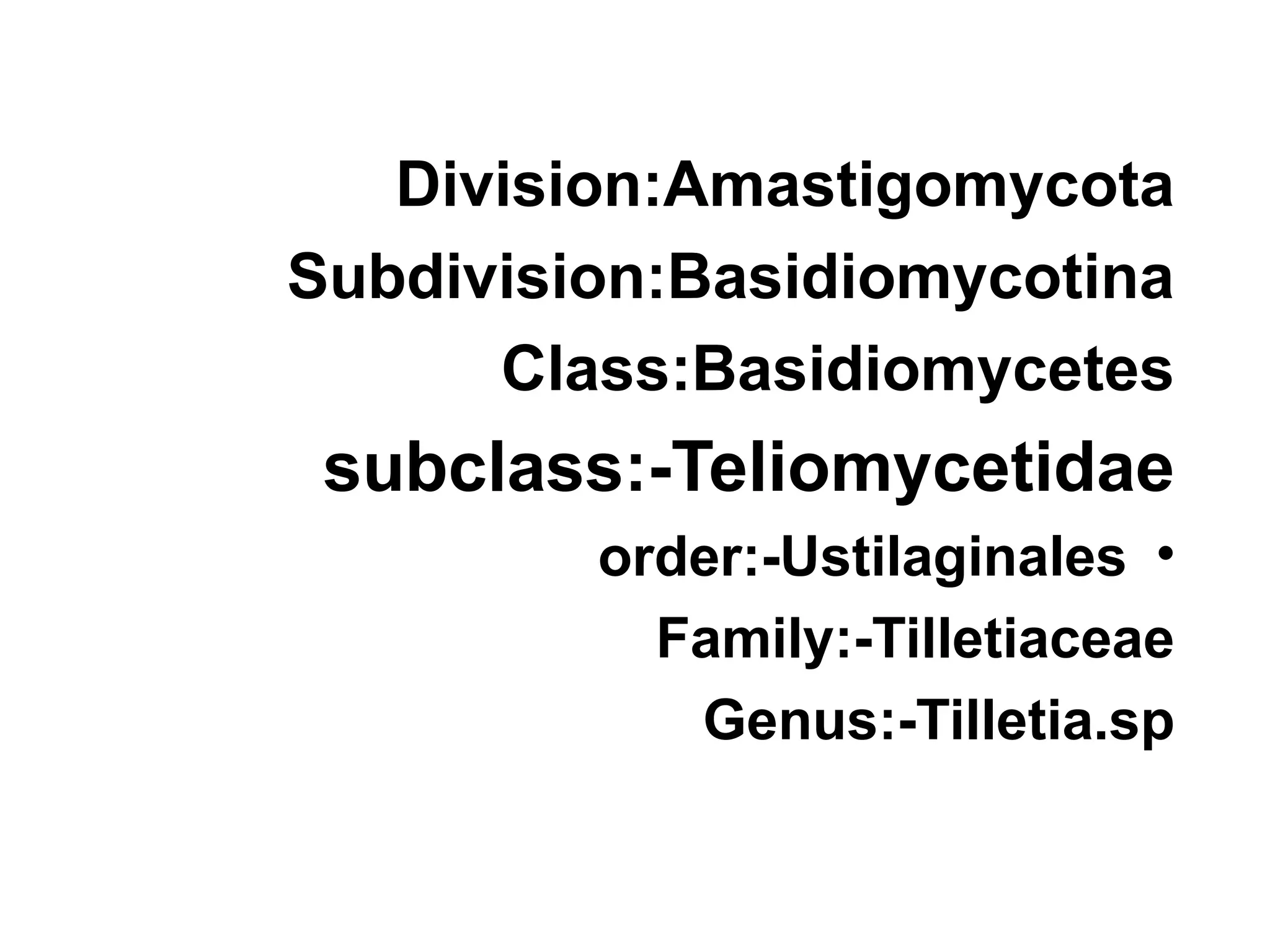 Division:Amastigomycota
Subdivision:Basidiomycotina
Class:Basidiomycetes
subclass:-Teliomycetidae
•
order:-Ustilaginales
Family:-Tilletiaceae
Genus:-Tilletia.sp
 