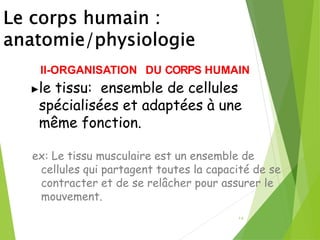 14
II-ORGANISATION DU CORPS HUMAIN
►le tissu: ensemble de cellules
spécialisées et adaptées à une
même fonction.
ex: Le tissu musculaire est un ensemble de
cellules qui partagent toutes la capacité de se
contracter et de se relâcher pour assurer le
mouvement.
 