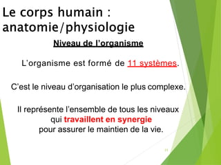 25
Niveau de l’organisme
L’organisme est formé de 11 systèmes.
C’est le niveau d’organisation le plus complexe.
Il représente l’ensemble de tous les niveaux
qui travaillent en synergie
pour assurer le maintien de la vie.
 