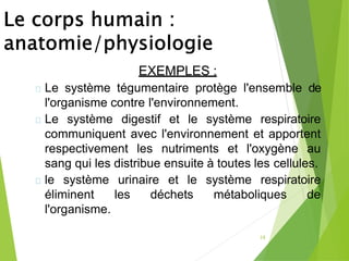 EXEMPLES :
Le système tégumentaire protège l'ensemble de
l'organisme contre l'environnement.
Le système digestif et le système respiratoire
communiquent avec l'environnement et apportent
respectivement les nutriments et l'oxygène au
sang qui les distribue ensuite à toutes les cellules.
le système urinaire et le système respiratoire
éliminent les déchets métaboliques de
l'organisme.
28
 