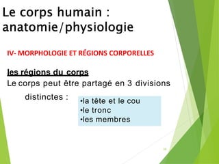38
IV- MORPHOLOGIE ET RÉGIONS CORPORELLES
les régions du corps
Le corps peut être partagé en 3 divisions
distinctes : •la tête et le cou
•le tronc
•les membres
 