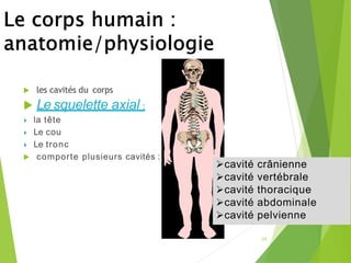  les cavités du corps
 Le squelette axial :
 la tête
 Le cou
 Le tronc
 comporte plusieurs cavités :
39
➢cavité crânienne
➢cavité vertébrale
➢cavité thoracique
➢cavité abdominale
➢cavité pelvienne
 