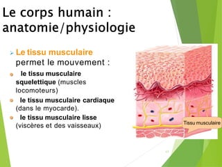17
➢ Le tissu musculaire
permet le mouvement :
le tissu musculaire
squelettique (muscles
locomoteurs)
le tissu musculaire cardiaque
(dans le myocarde).
le tissu musculaire lisse
(viscères et des vaisseaux) Tissu musculaire
 