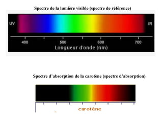 cours-chimie-analytique-Chap1.pdf