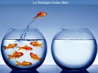 107
La Stratégie Océan Bleu
 