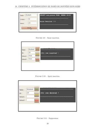 38 CHAPITRE 3. INTÉRROGATION DE BASES DE DONNÉES SANS SGBD
Figure 3.9 – Avant insertion.
Figure 3.10 – Aprés insertion.
Figure 3.11 – Suppression.
38
 