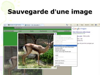 Sauvegarde d‘une image




        Mme Sameh Mejdoub
 