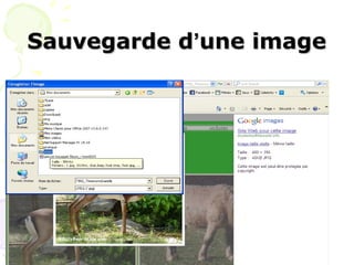 Sauvegarde d‘une image




        Mme Sameh Mejdoub
 