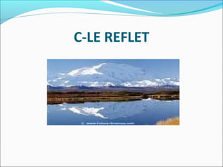 C-LE REFLET
 