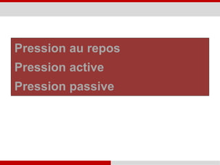 Pression au repos
Pression active
Pression passive
 