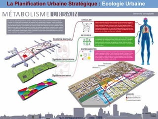 La Planification Urbaine Stratégique : Ecologie Urbaine
 