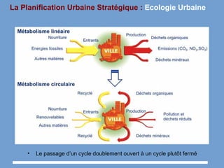 La Planification Urbaine Stratégique : Ecologie Urbaine
• Le passage d’un cycle doublement ouvert à un cycle plutôt fermé
 